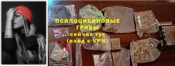 ПСИЛОЦИБИНОВЫЕ ГРИБЫ Кинешма